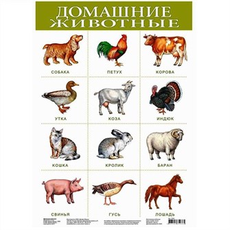 Плакат Домашние животные 1918 611-909