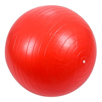 Мяч для фитнеса 55 см. 141-21-59 653-557