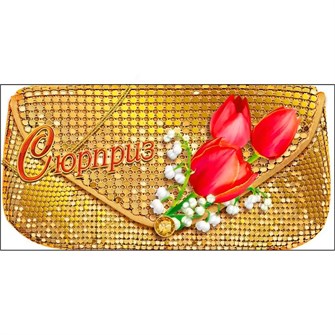 Конверт для денег Сюрприз 075.421 562-618