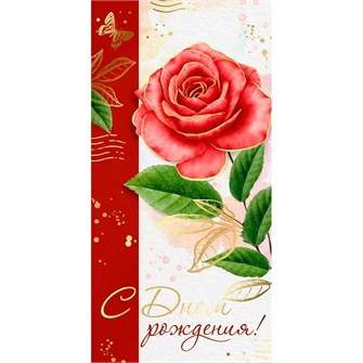 Конверт для денег С Днем рождения! 41,249,00 562-320