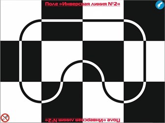 Поле Инверсная линия 3240 х 2430 мм 11796