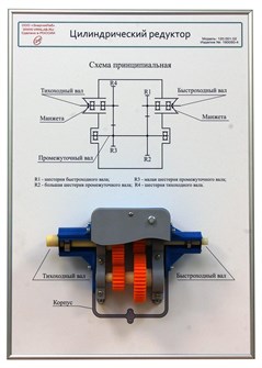 Плакат планшет с демонстрационной моделью «Цилиндрический редуктор» ✅ 15459