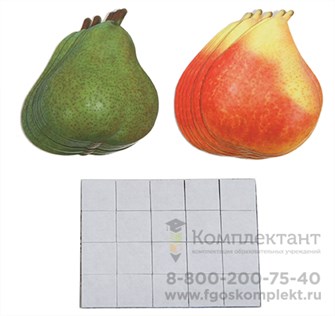 Счетный материал на магнитах "Груши" 20 шт. 1046345348