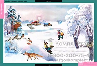 Табл. Окружающий мир 2 класс (15 таблиц) 2093709915