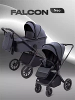 Коляска 2 в 1 Rant Falcon Neo Graphite 4670078655936