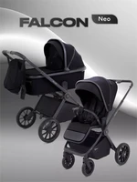 Коляска 2 в 1 Rant Falcon Neo Black 4670078655943
