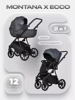 Коляска 2 в 1 Riko Basic Montana X Ecco 24 Graphite 5907729455522