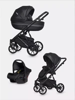 Коляска 3 в 1 Riko Basic Delta Ecco 15 Black 5907729452507