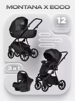 Коляска 3 в 1 Riko Basic Montana X Ecco 12 Black 5907729455478