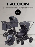 Коляска 3 в 1 Rant Falcon Graphite 16342