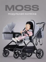 Коляска 2 в 1 Rant Moss Classic grey 4670078642547