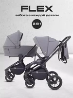 Коляска 2 в 1 Rant Flex 2025 RA076 Graphite 4670078652911