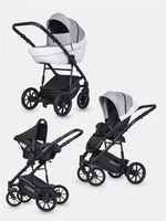 Коляска 3 в 1 Riko Basic Pacco 05 grey fox 5907729452286