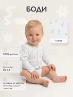 Боди Rant Tiny на кнопках 7993 Goose 4610477385935