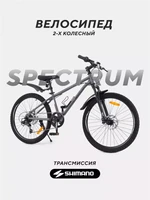 Велосипед 2-колесный Rant Spectrum 24" графит 4670078657602