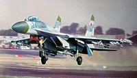 02224  авиация  ОКБ С-27 Flanker B  (1:32) 9580208022246
