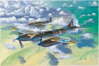 02894  авиация  De Havilland Hornet F.3  (1:48) 9580208028941