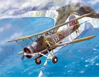03207  авиация  FAIREY SWORDFISH Mk. I  (1:32) 9580208032078
