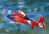 05107  авиация  US Coast Guard HH-65C Dolphin  (1:35) 2000002096450