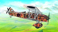 0810  авиация  Fiat CR-32 Freccia (1:48) 8594877008105