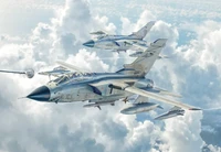 2517  авиация  Tornado ECR  (1:32) 8001283025171