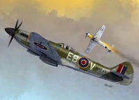 72096  авиация  Spitfire Mk.XIV C/E bubbletop  (1:72) 8592977720965