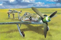 81721  авиация  Focke-Wulf FW190D-13  (1:48) 6939319217219