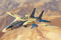 81771  авиация  Persian Cat F-14A Tomcat - IRIAF  (1:48) 6939319217714
