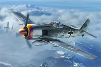 81782  авиация  Focke-Wulf FW190A-8  (1:48) 6939319217820