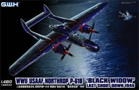 L4810  авиация  Northrop P-61B 'Black Widow' Last Shoot Down 1945  (1:48) 6947917010101