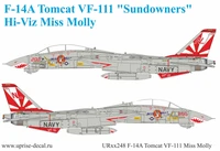 UR32248  декали  F-14A Tomcat VF-111 Pt.1 Supeer CAG and Miss Molly  (1:32) 2000002210252
