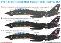 UR72207  декали  F-14A/D Tomcat Black Bunny  (1:72) 2000002141495