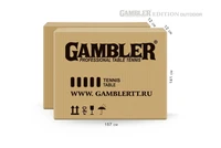 Стол теннисный Edition Всепогодный 6 Зелёный GTS-5