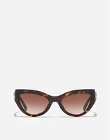 Солнцезащитные очки Devotion DOLCE &amp; GABBANA, коричневый 47343356