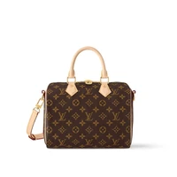 Сумка женская Louis Vuitton, коричневый 22191050