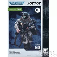 Фигурка JoyToy. Warhammer 40,000: Astra Militarum Veteran with Medi-pack 135941