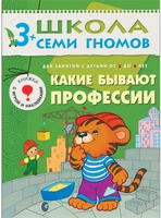 ШСГ Четвертый год обучения. Какие бывают профессии.. 9785886000000