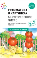 Наглядное пособие. Грамматика в картинках. Множественное число 9786661000000