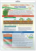 *ПО-13972 ПЛАКАТ А3 В ПАКЕТЕ. Окружающий мир в 3 классе. Развитие и размножение растений (в индивидуальной упаковке, с европодвесом и клеевым клапаном) 82556847