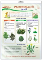 *ПО-13408 ПЛАКАТ А3 В ПАКЕТЕ. Окружающий мир в 1 классе. Растительный мир (в индивидуальной упаковке, с европодвесом и клеевым клапаном) 1935795091
