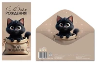 КДС-17806 Конверт для денег на склейке. С Днём рождения! Твой подарок (унисекс, котенок) 1576446137