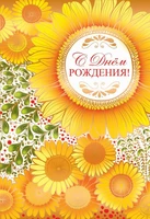 Ц-11142 Открытка среднего формата. С Днем Рождения! Текст (золотая фольга) 1683842515