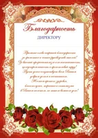 Ш-6526 Благодарность директору (для принтера, картон 200 г 967707822