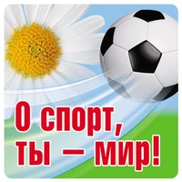 ШН-11220 Наклейки. О спорт, ты - Мир! (96х95мм) 550430271