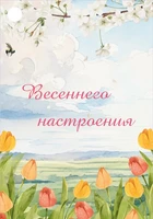 Б-15867 Бирка. Весеннего настроения 2017615203