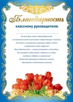 Ш-11185 Благодарность Классному руководителю (для принтера, картон 200 г 266739302