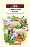 Вечное чудо жизни (мягкая обложка) 953733486
