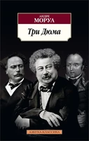 Три Дюма (мягкая обложка) 174540444