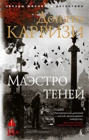 Маэстро теней (мягкая обложка) 485997585