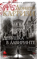 Девушка в лабиринте (мягкая обложка) 1749875403